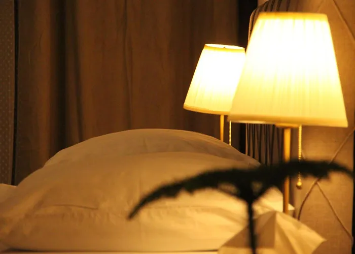 Pensionat Tycho De Brahe 4*